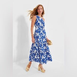 HYACINTH HOUSE Tuckernuck Blue Floral One Shoulder Sybil Maxi Dress Size Small